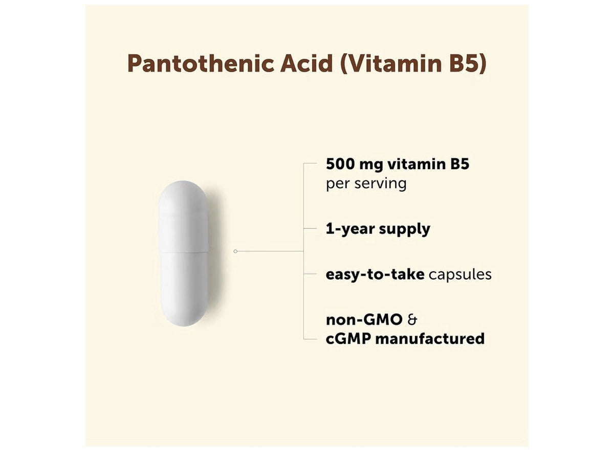 Micro Ingredients Pantothenic Acid Vitamin B5 500 mg Per Serving 365 Capsules