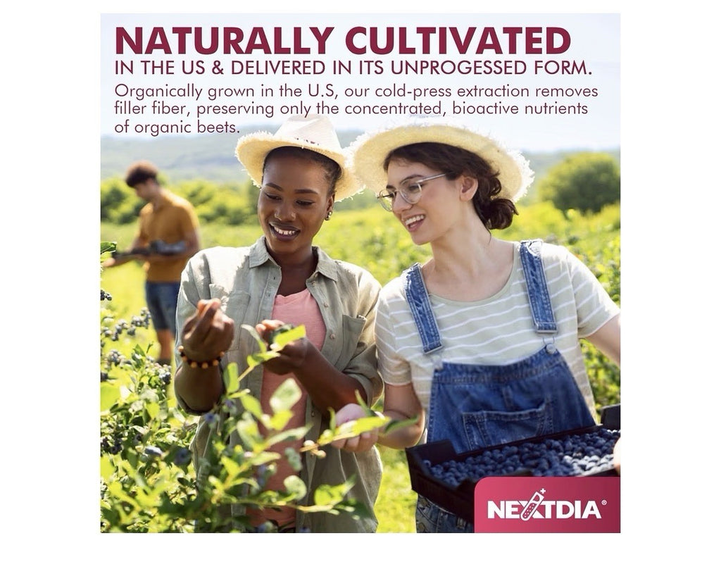 Nextdia Beet Root Gummies +  L-Arginine Nitric Oxide Production 60 Gummies