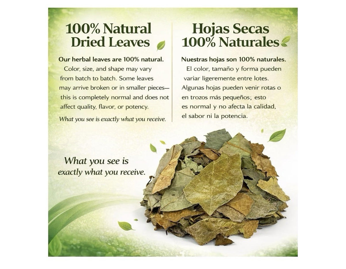 B-Experts Hojas De Guanabana Soursop Leaves Tea 100% Natural 4 oz