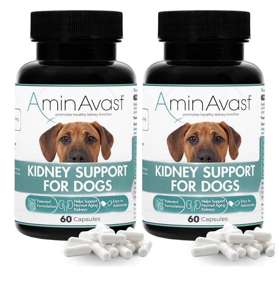 2 Pack AminAvast Kidney Support For Dogs Natural Kidney Function 1000mg