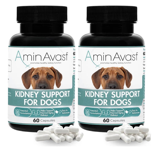 2 Pack AminAvast Kidney Support For Dogs Natural Kidney Function 1000mg