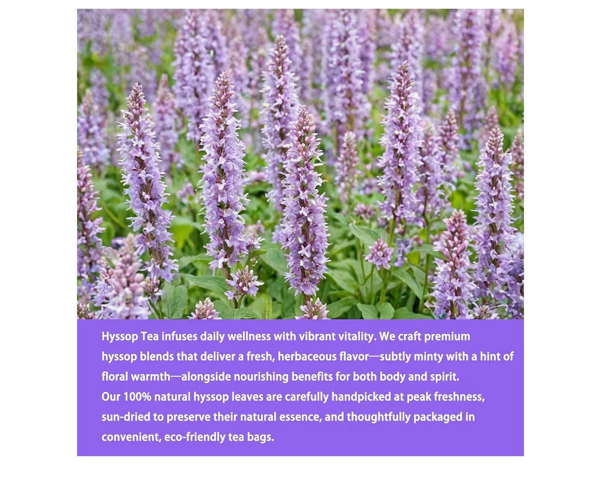 Hyssop Tea Herbal Hyssop Support Digestive promote Relaxation 40 Tea bags