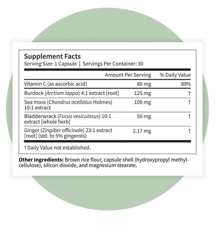 3 Pack Pattern Wellness Sea Moss Complex supports Immune Digestive Health
