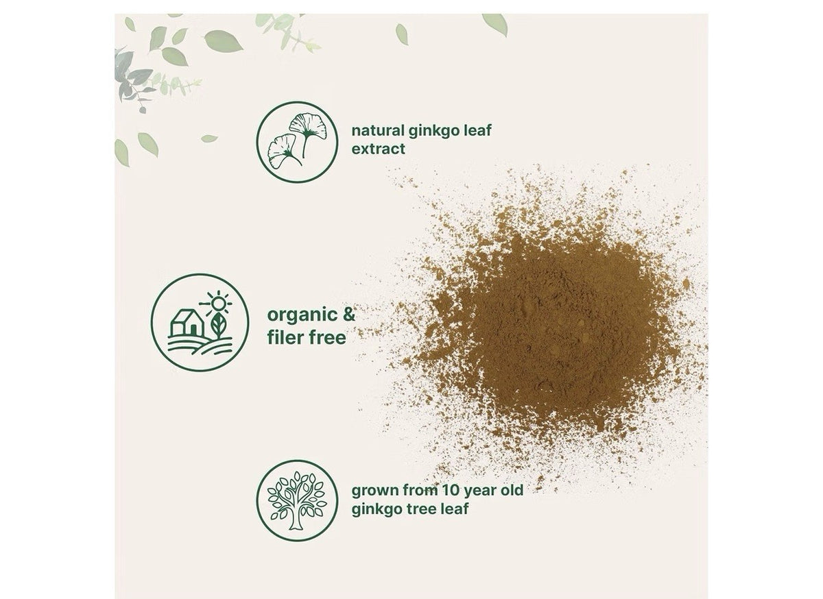 Micro Ingredients Ginkgo Biloba Flavone Glycosides Organic Powder 8oz