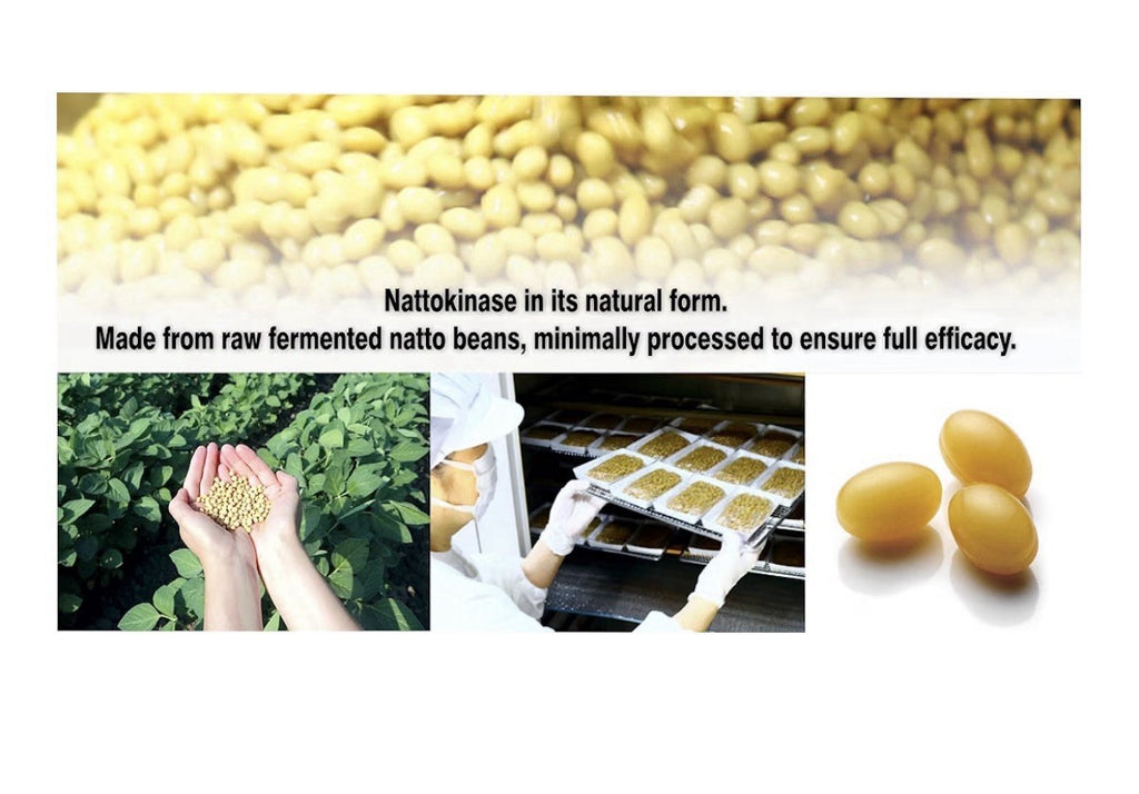PHARMAKON Nattokinase 6000 FU Odorless Wholesome Fermented Soybean Extract 120sg