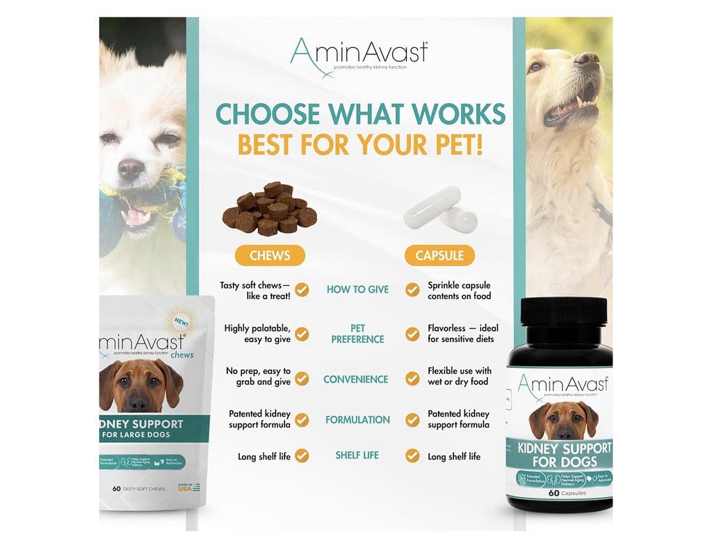 AminAvast Chews Kidney Support For Large Dogs Kidney Function 1000mg 60 Chews