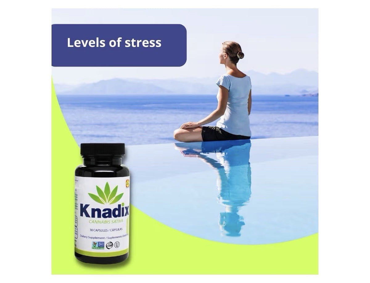 Knadix Hemp Oil Supplement Pain Support Support for Bones Muscles Joints 2 Packs