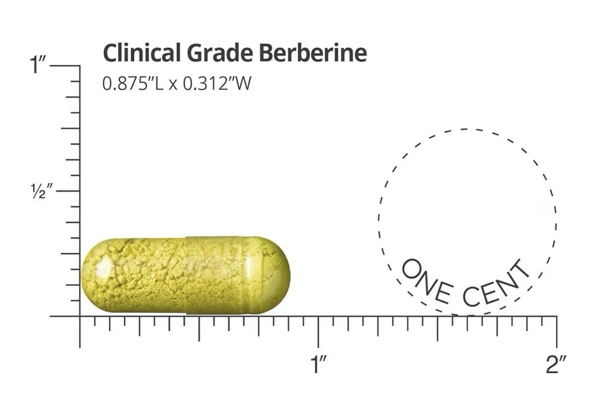 2 Packs Dr. Whitaker Clinical Grade Berberine 500mg Healthy Lipids & Cholesterol