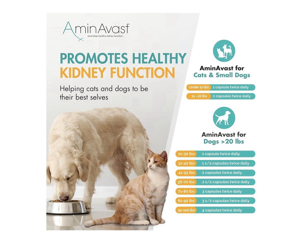 2 Pack AminAvast Kidney Support For Cats And Small Dogs Kidney Function 300 mg