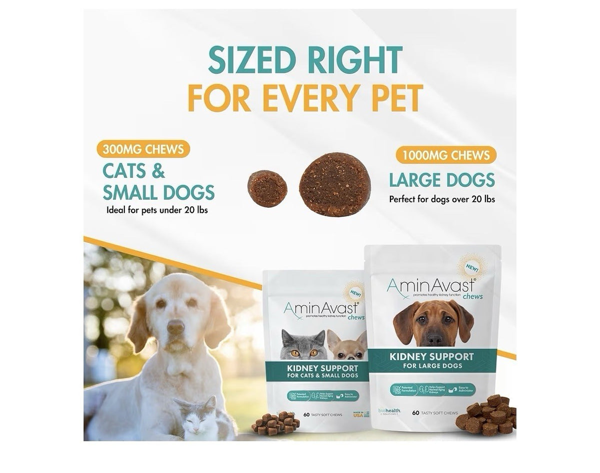 AminAvast Chews Kidney Support Cats & Small Dogs Kidney Function 300mg 60 Chews