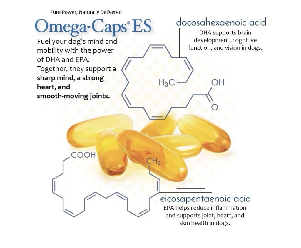 3 Pack Omega Caps ES  Omega-3 & 6 Extra Strength Large and Giant Dogs Breeds