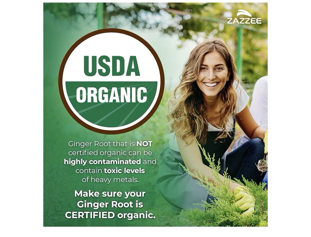 Zazzee Ginger Root 5% Gingerols Support Digestive Comfort 3+ Month Supply 100cap