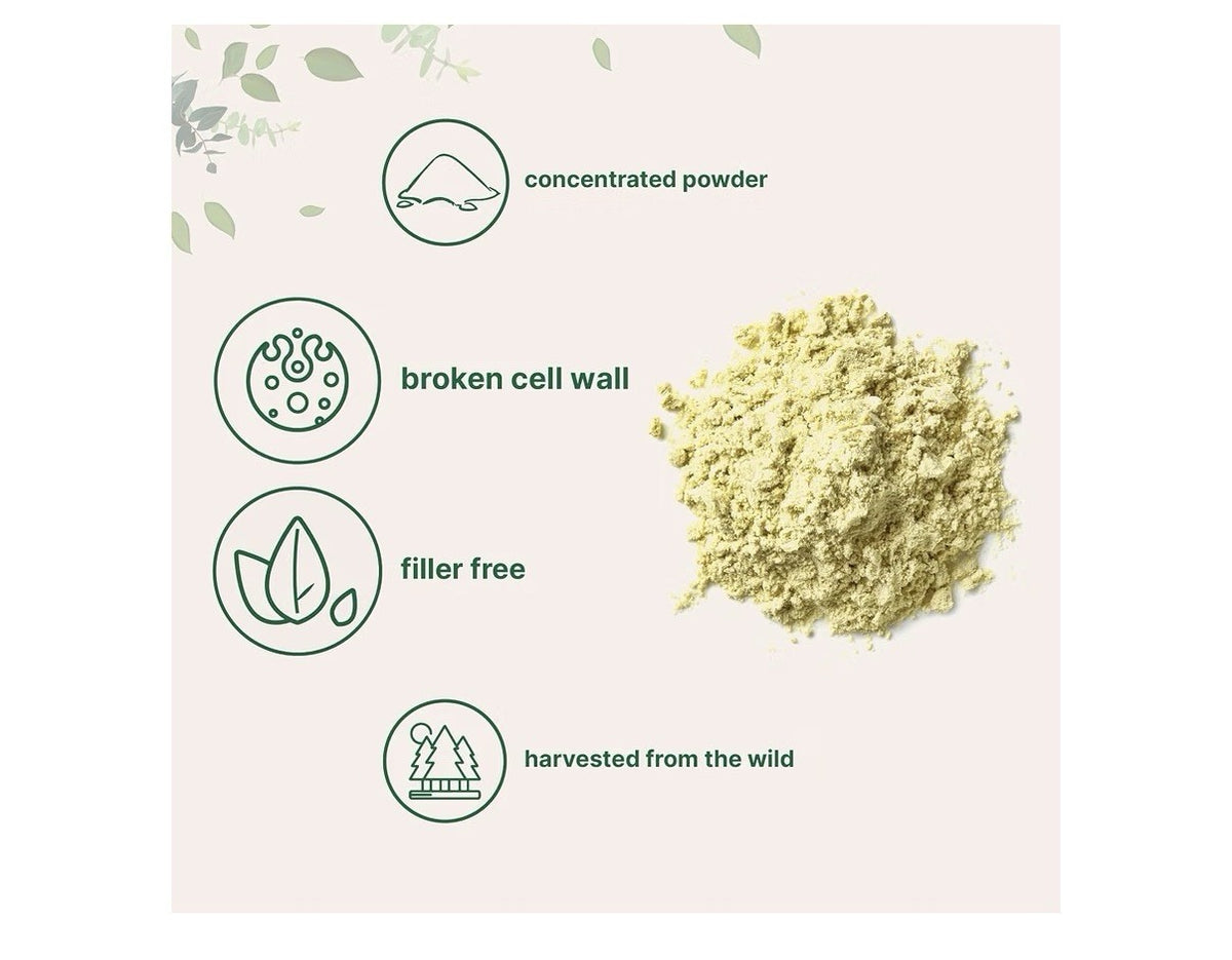 Micro Ingredients Pine Pollen Concentrate Powder Broken Cell Wall 6 oz