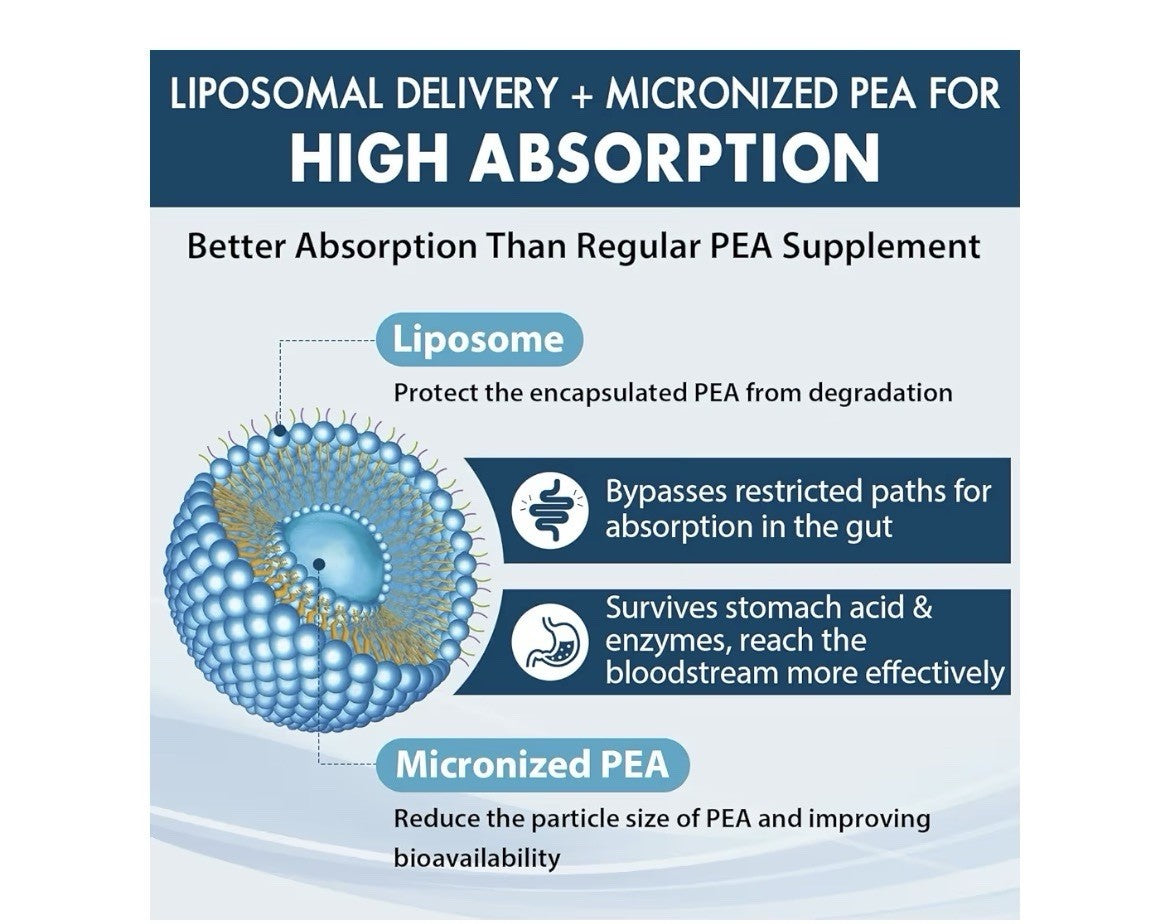 Ulmubra Liposomal PEA Palmitoylethanolamide 1300 MG Plus Luteolin 100 MG 60sgel