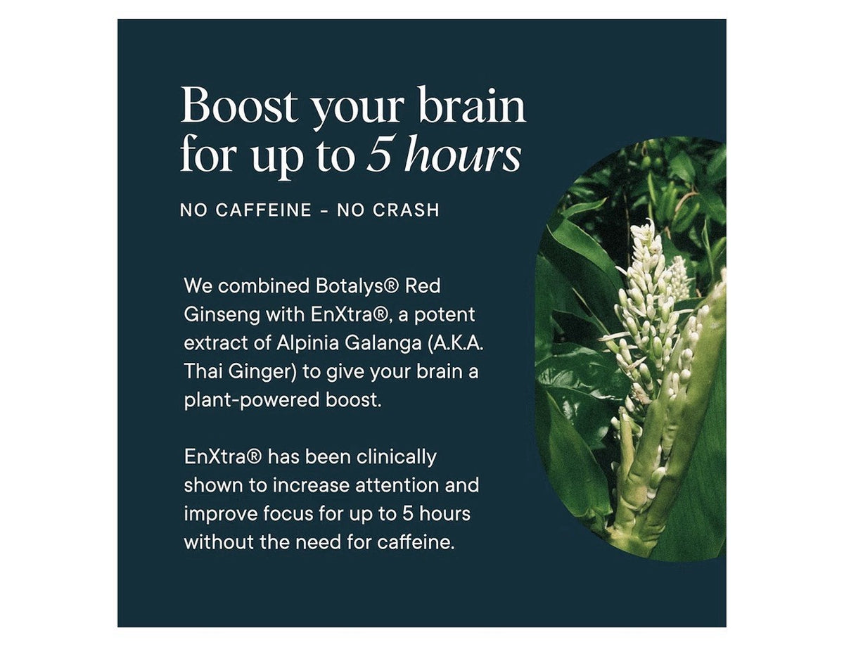 Ora Great Minds Cognitive Support Brain Health Focus Mental Energy Memory 60caps