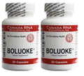 BOLUOKE Canada RNA Lumbrokinase 2 Pack 60 Capsules Each Pack Total 120 Capsules