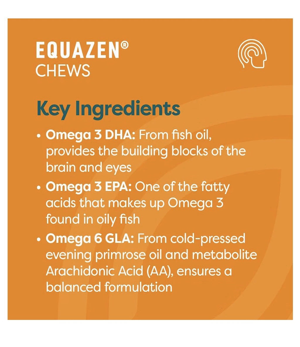Equazen Omega 3 Omega 6 Supports Brain Function For 3+ Years 180 Chewable Caps