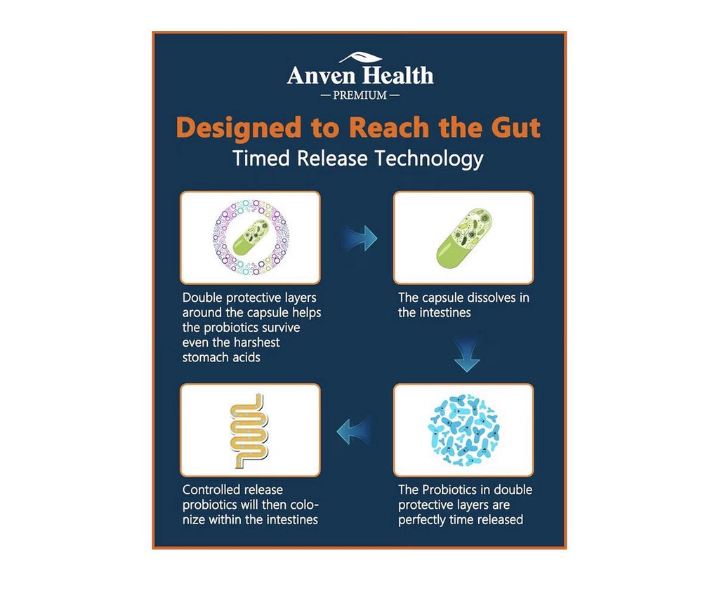 3Pack Anven Health Probiotic Prebiotic 100 Billion CFU for Men, Women 27 Strains