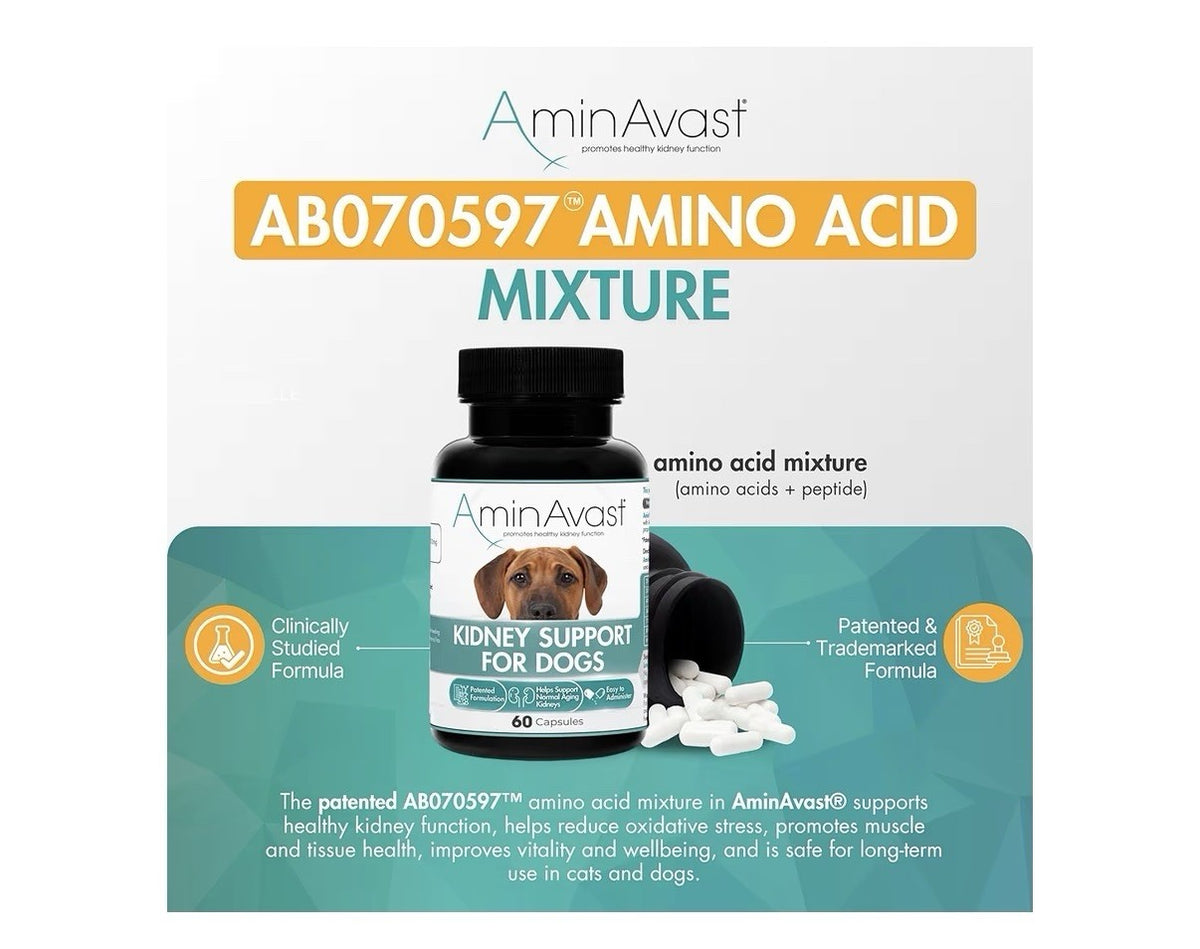 2 Pack AminAvast Kidney Support For Dogs Natural Kidney Function 1000mg