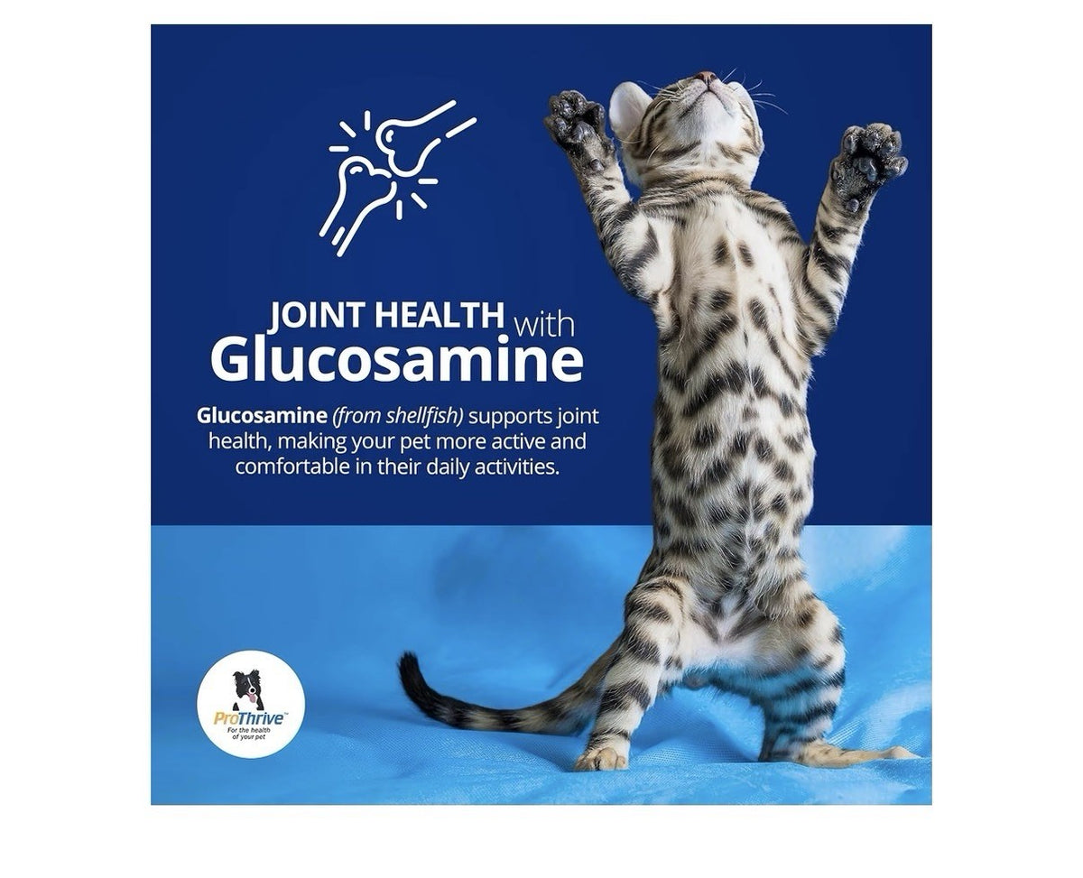 ProThrive Spunky Probiotics Digestive Enzymes Joints Support For Cats & Dogs 1lb