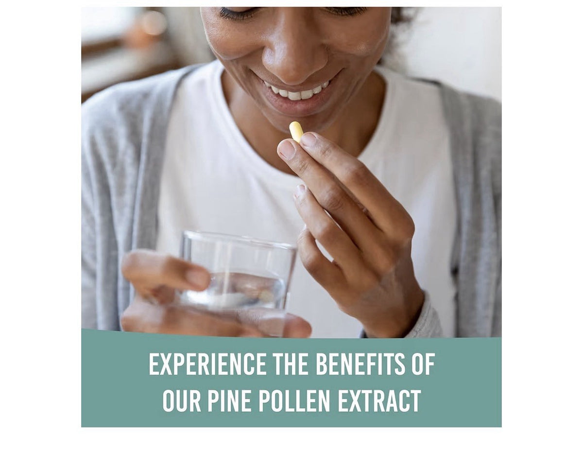 Holistic Bin Pine Pollen Pinus Ponderosa Wild Harvested 40 Capsules
