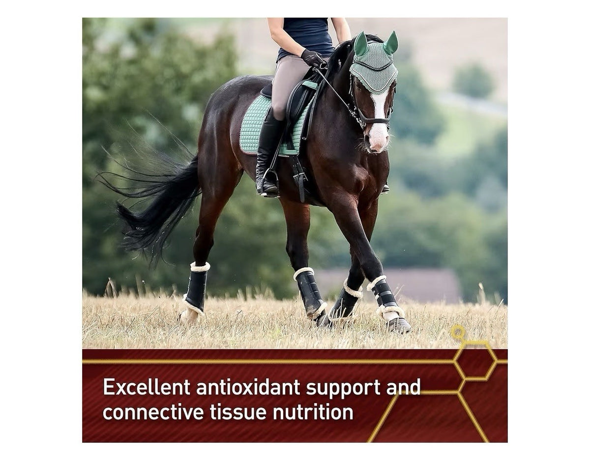 Vita Flex Pro Pure C Antioxidant And Connective Tissue Support For Horses 2 LB