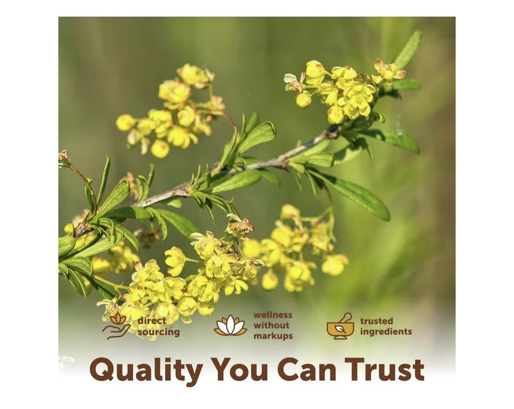 Micro Ingredients Berberine 1000mg Per Serving with Mct Oil 120 Softgels