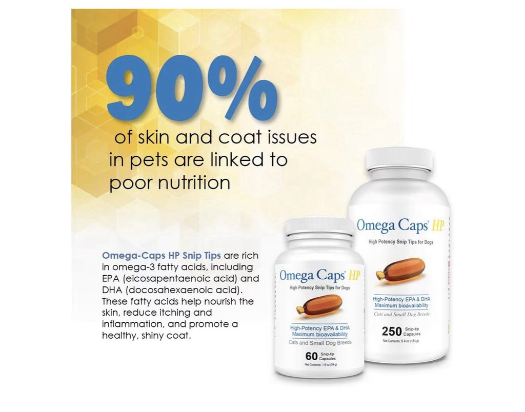 Omega Caps HP Snip Tips for Cats and Small Dogs Breeds High Potency 60 Capsules