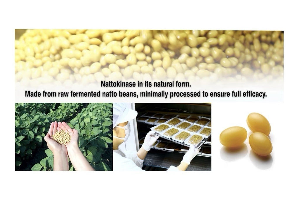 PHARMAKON Nattokinase 6000 FU Odorless Wholesome Fermented Soybean Extract 240sg