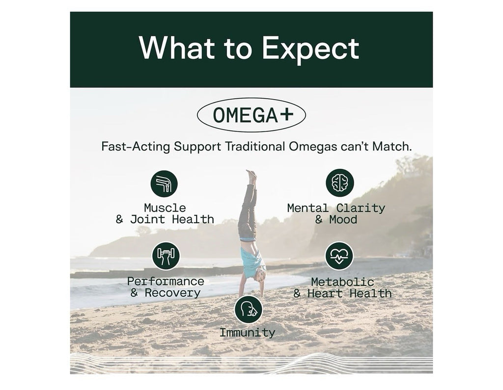 Adapt Naturals Omega+ Bio-Avail Fish Oil with Curcumin And Black Seed 60 Softgel