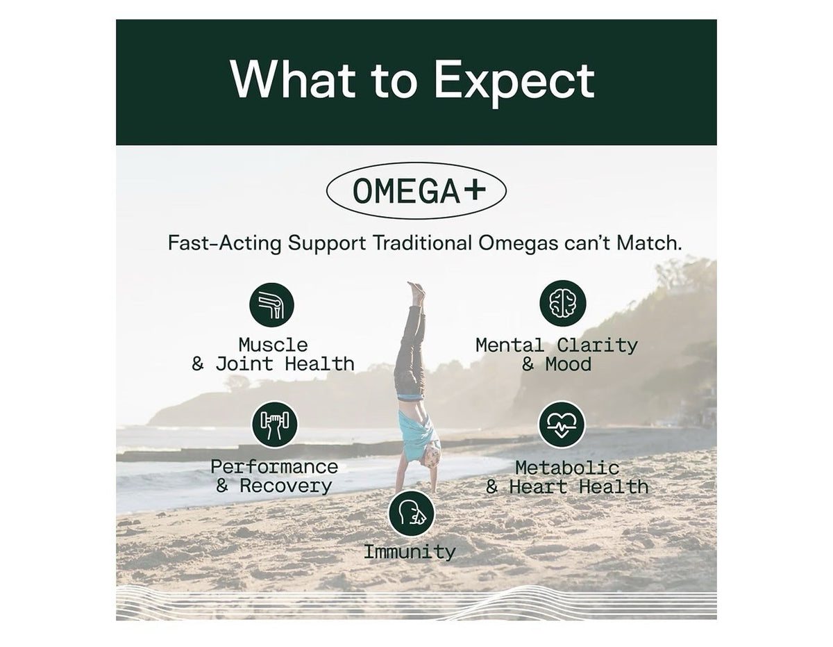 Adapt Naturals Omega+ Bio-Avail Fish Oil with Curcumin And Black Seed 60 Softgel