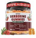 Nextdia Berberine Gummies 1500mg Ceylon Cinnamon AMPL Activator 60 Gummies