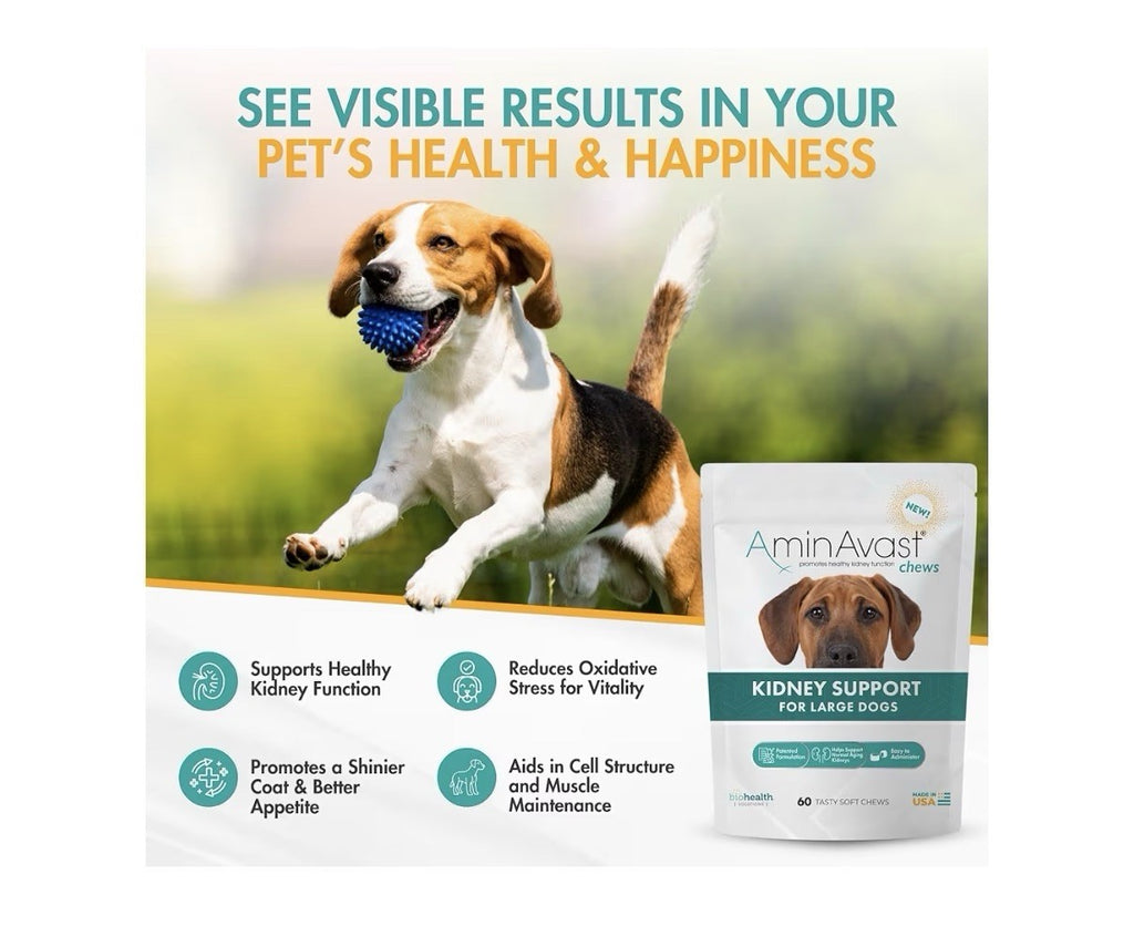 AminAvast Chews Kidney Support For Large Dogs Kidney Function 1000mg 60 Chews