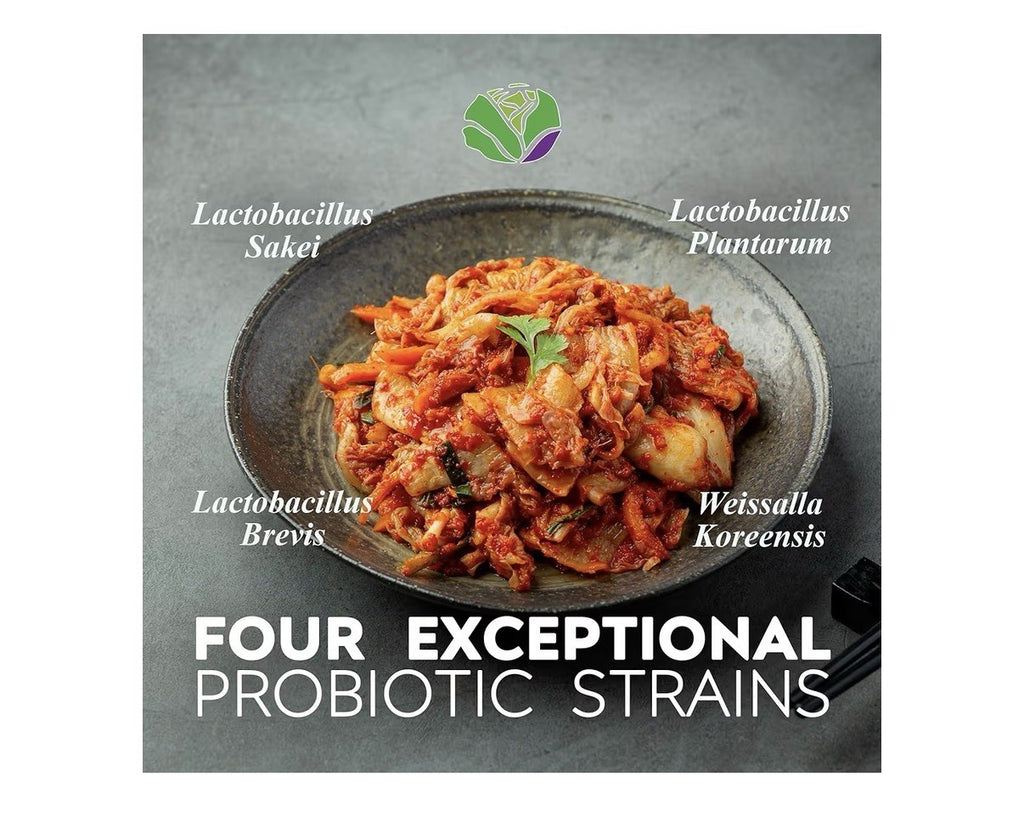 Kimchi Life Probiotics Gut Health Immune Support Energy Skin Hair Health 90 Caps