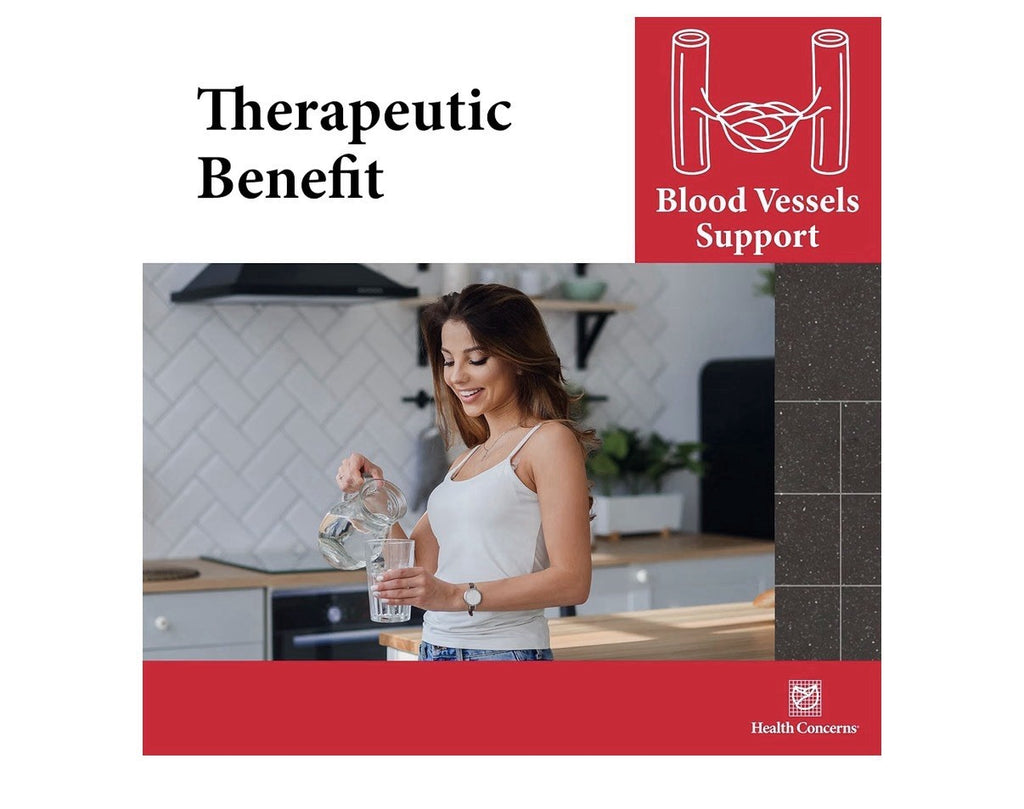 Health Concerns Formula H Herbal Supplement Blood Circulation & Vascular Support