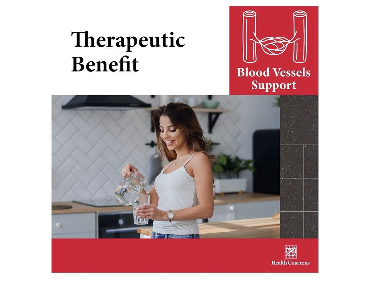 Health Concerns Formula H Herbal Supplement Blood Circulation & Vascular Support