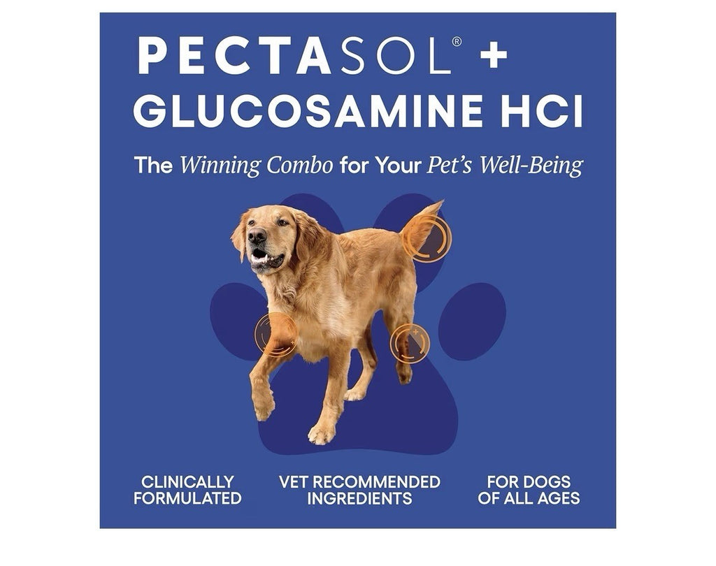 ecoNugenics PectaPaws Joints & Mobility 90 Chewable Dog Supplements Beef Flavor