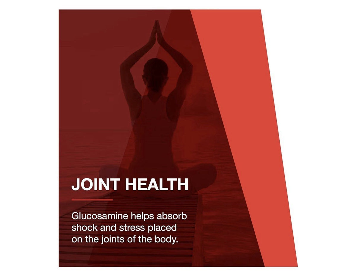 Protocol Glucosamine & Chondroitin with MSM Joint Health Mobility Support 180sg