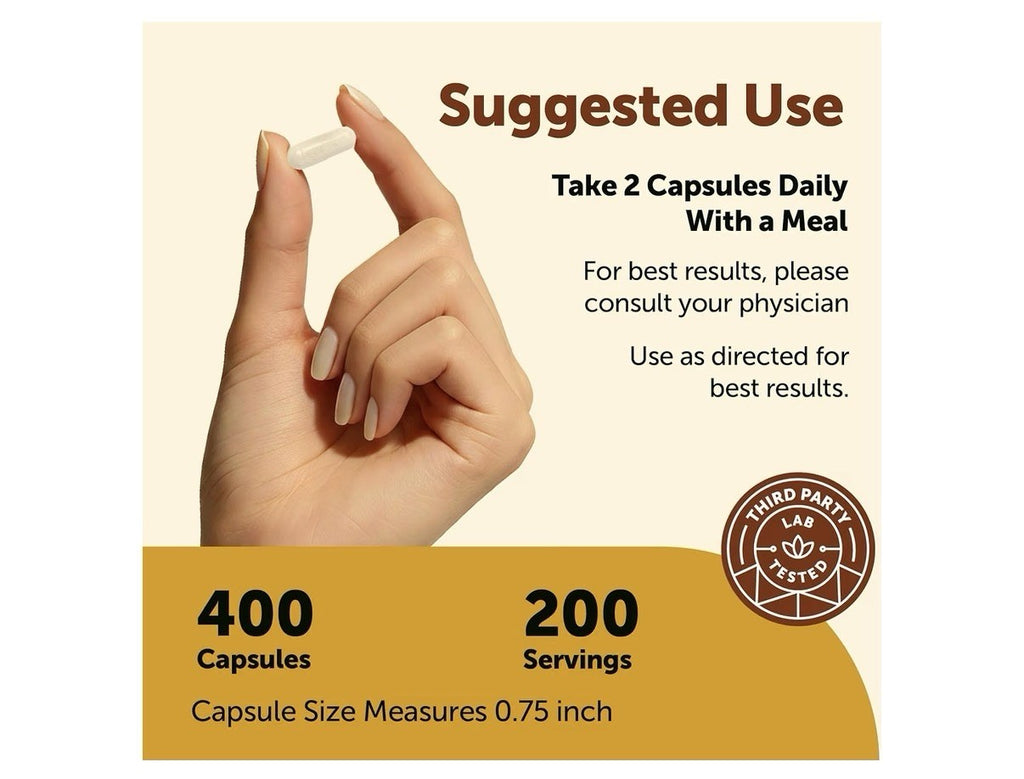 Micro Ingredients Niacinamide Vitamin B3 1,000 mg Per Serving 400 Capsules