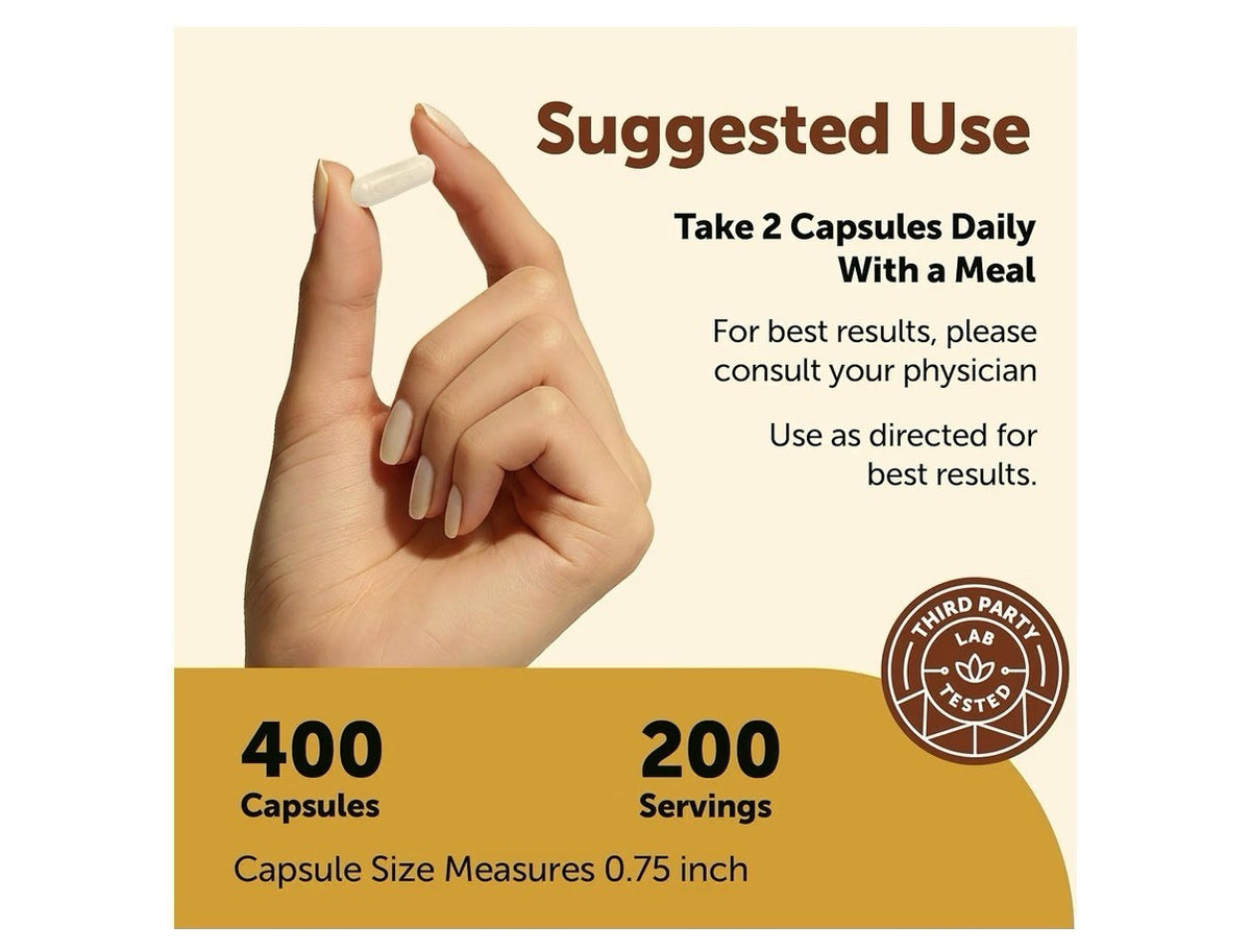 Micro Ingredients Niacinamide Vitamin B3 1,000 mg Per Serving 400 Capsules