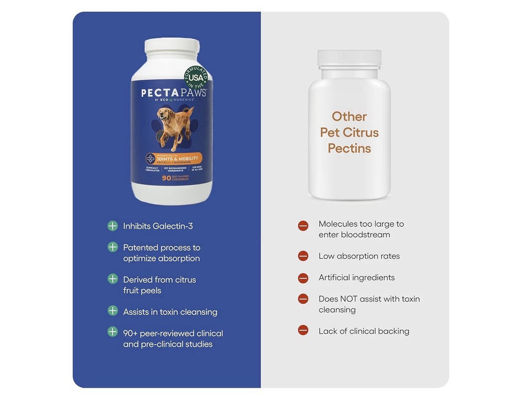 ecoNugenics PectaPaws Joints & Mobility 90 Chewable Dog Supplements Beef Flavor