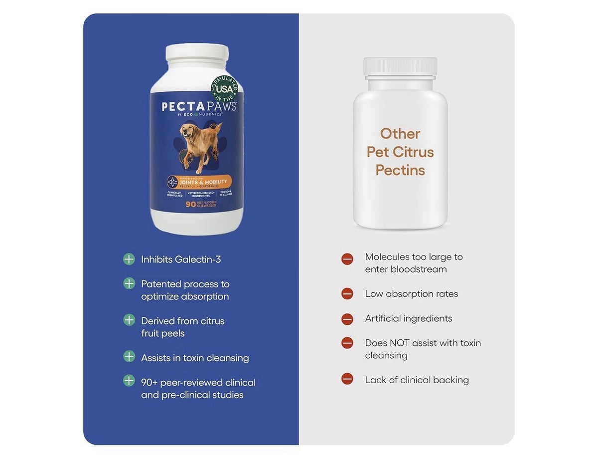 ecoNugenics PectaPaws Joints & Mobility 90 Chewable Dog Supplements Beef Flavor