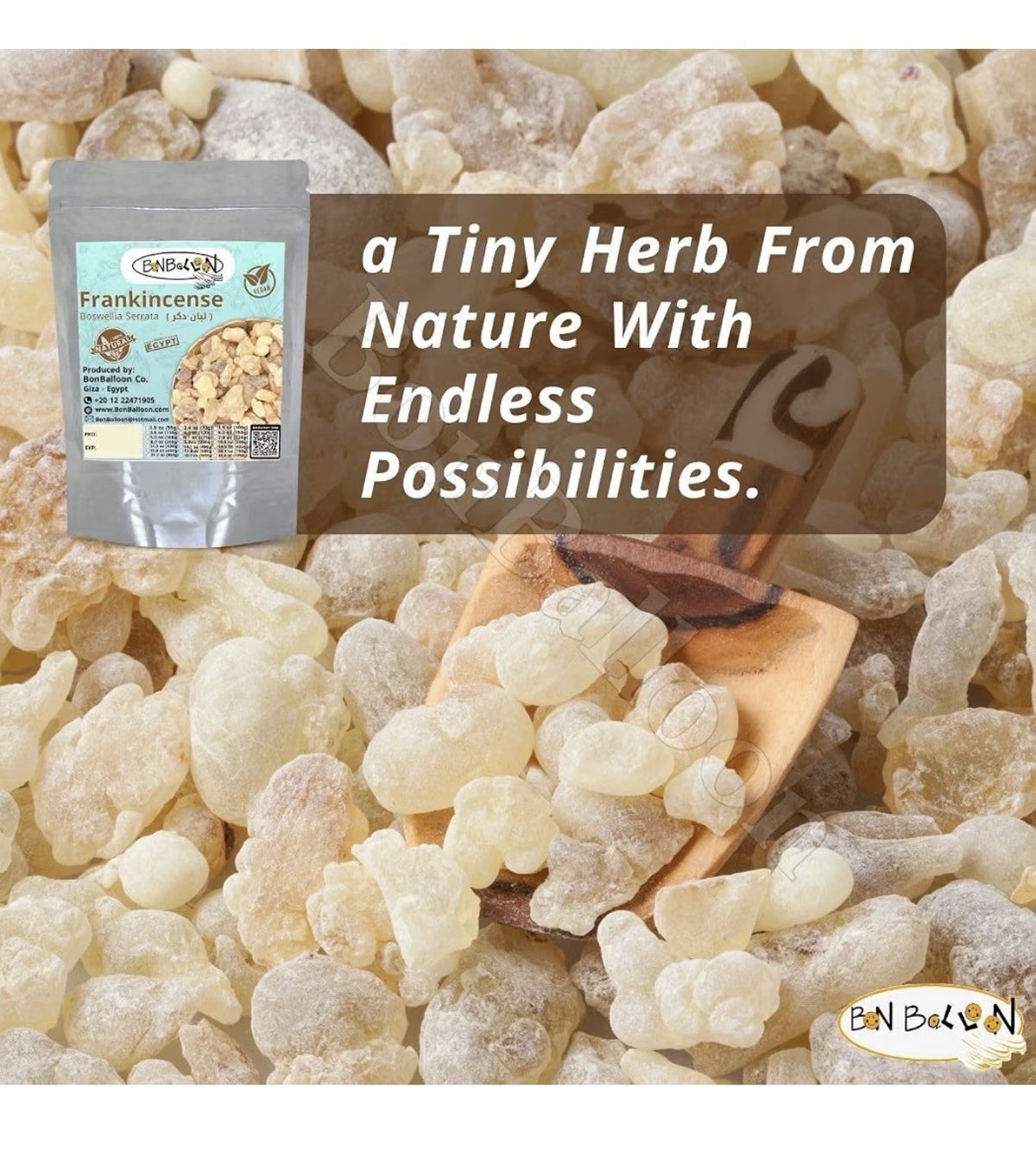 Egyptian Frankincense Gum Premium Natural Raw Rock Herb Pure Dried 6oz