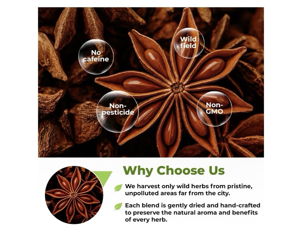Dried Anise Seeds Anaise Herb 50 Tea Bags (Pimpinella Anisum) Semilass De Anis