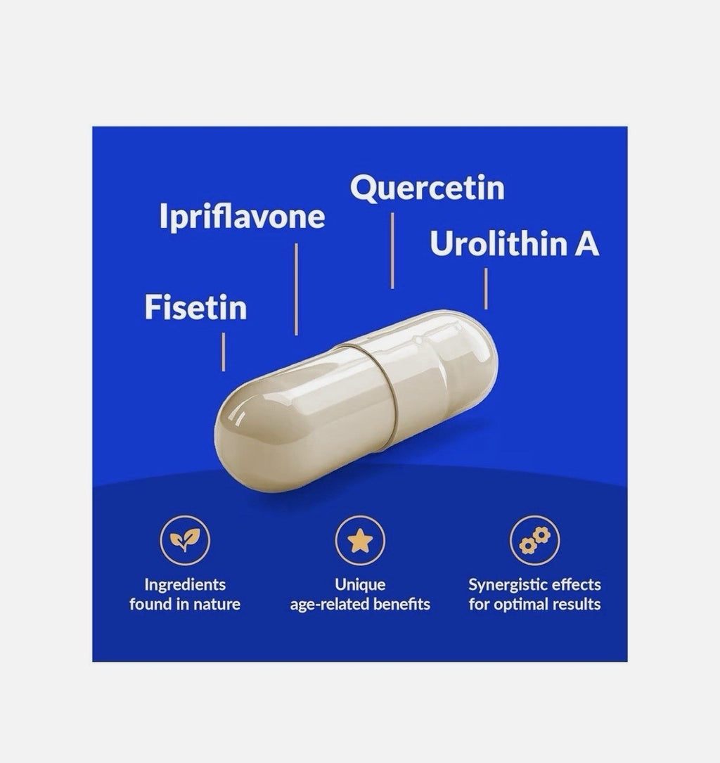 CogniSHIELD Brain Health Supplement Designed To Support Brain Health 60 Capsules