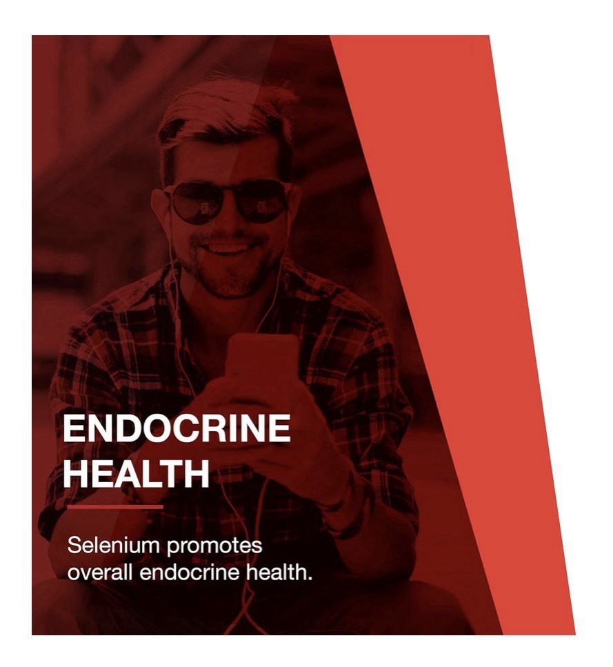 Protocol for Life Balance Selenium 200 mcg Thyroid Immune Prostate Health 90 Cap