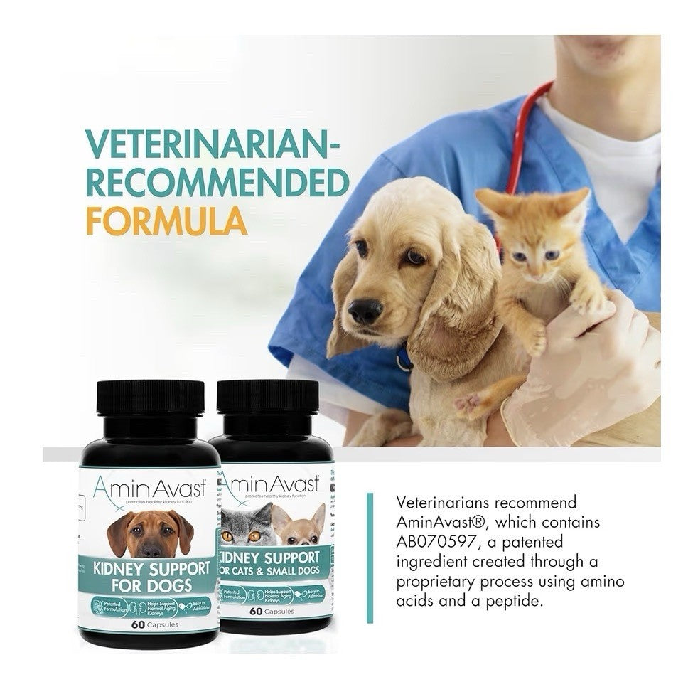 2 Pack AminAvast Kidney Support For Dogs Natural Kidney Function 1000mg