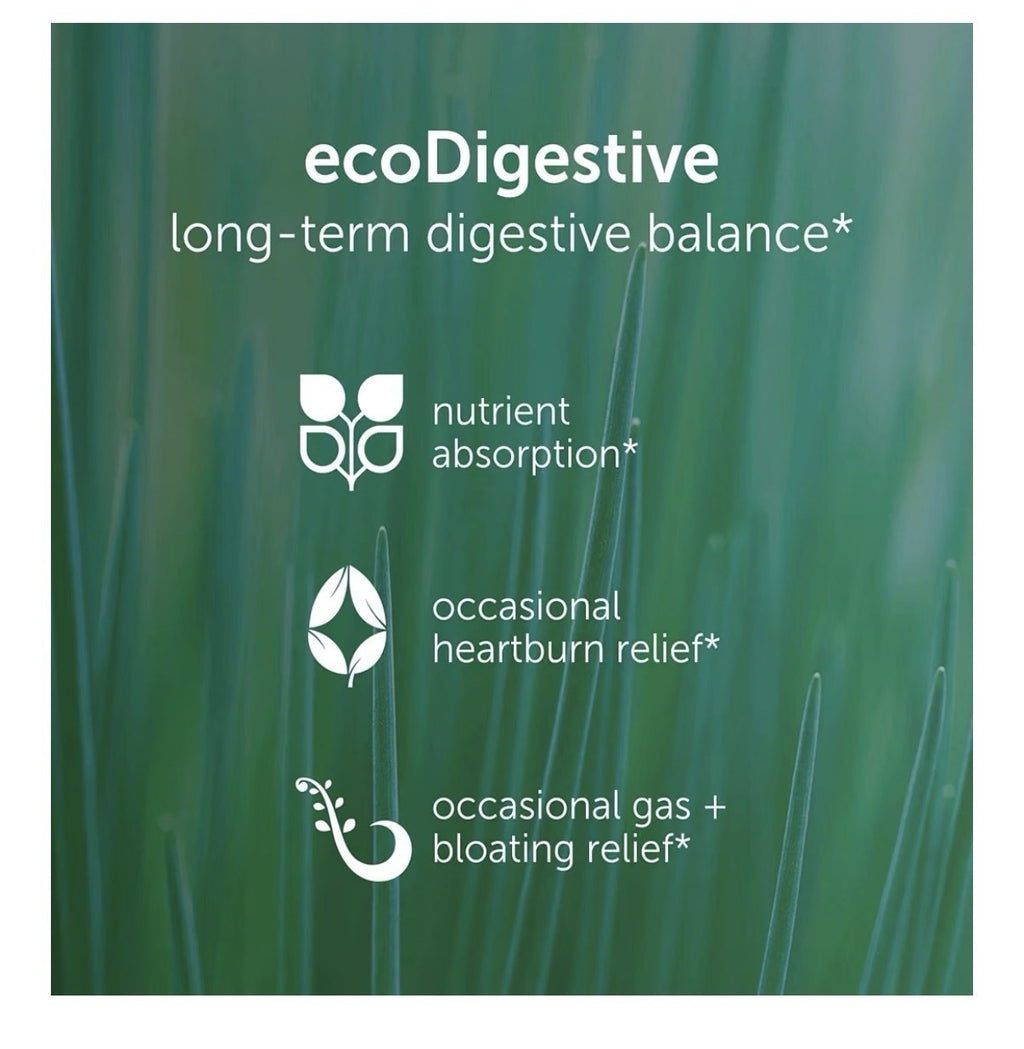 EcoNugenics EcoDigest Long Term Digestive Balance Heartburn Indegestion Relief