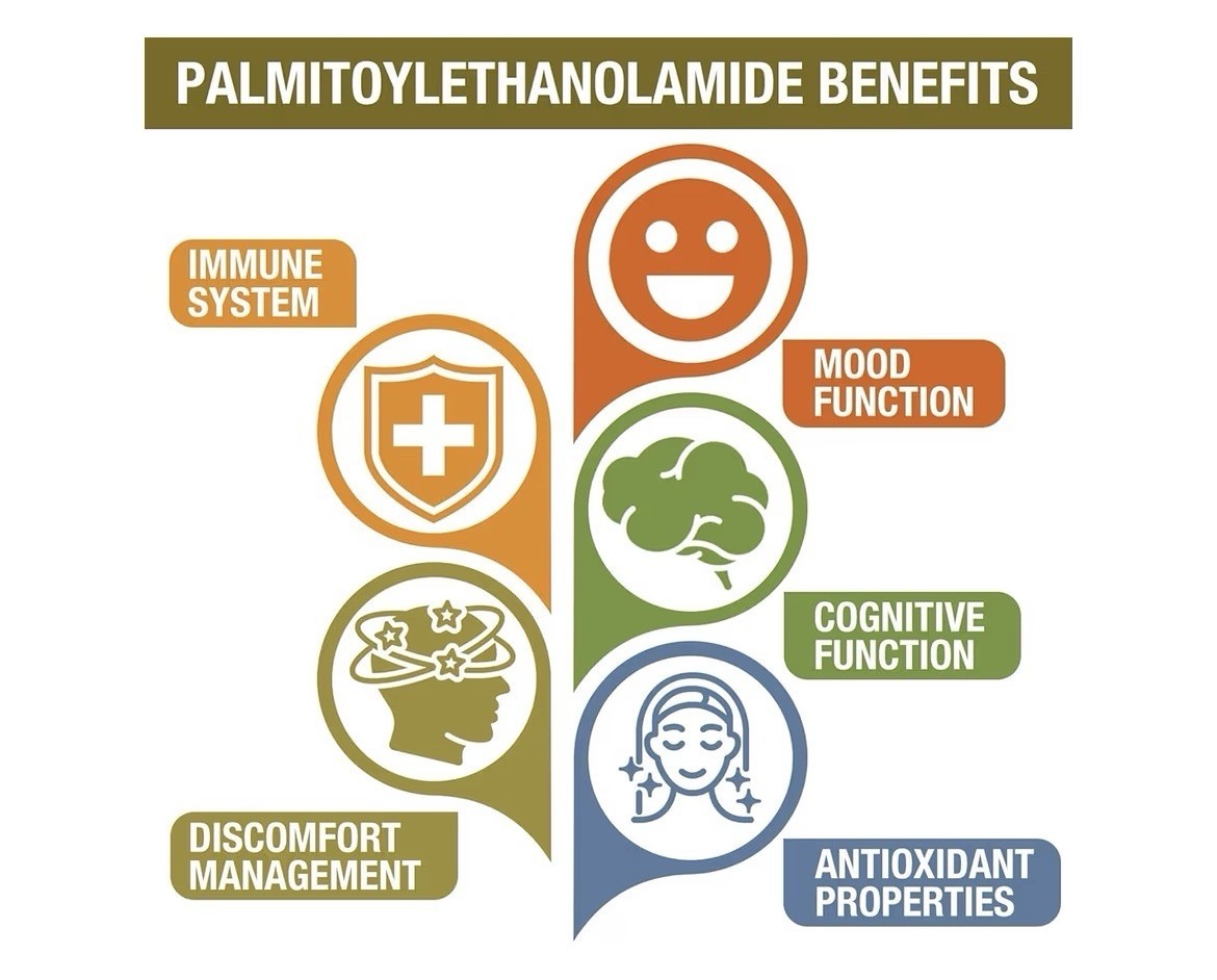Rosmolo PEA Luteolin & Tumeric Palmitoylethanolamide Discomfort Management 2Pack