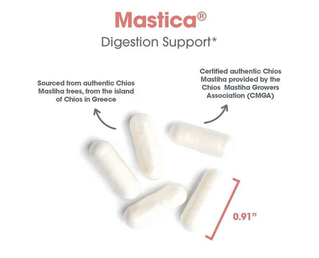Allergy Research Group ARG Mastica Digestive Support Hypoallergenic 240 Capsules